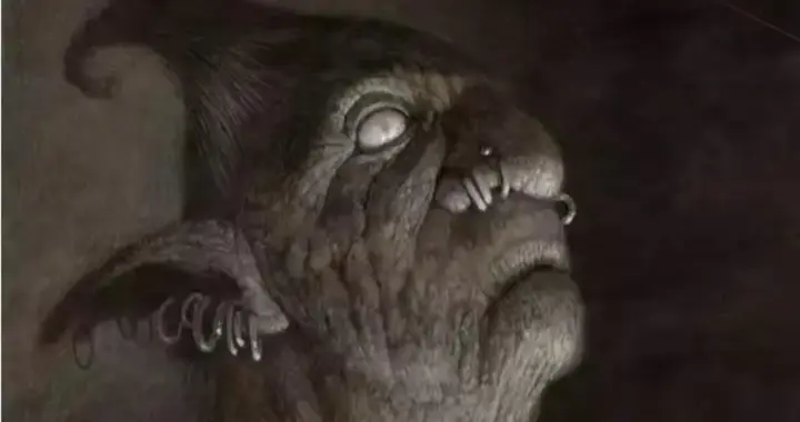 我的心里，有着一座秘密花园