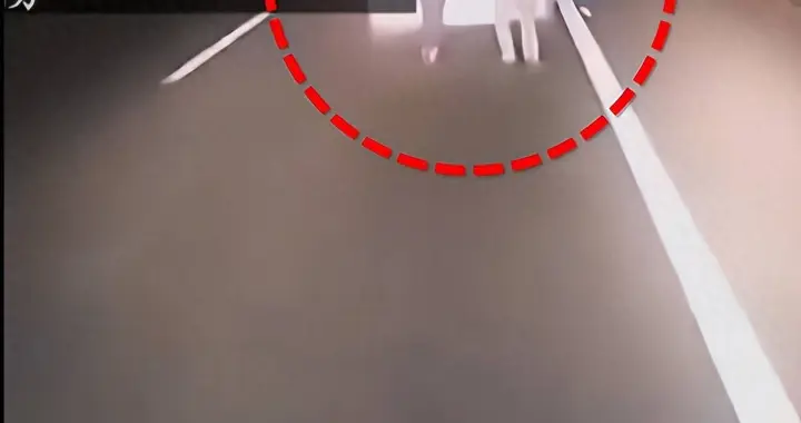 高速推车酿悲剧：两人因新能源车没电被撞身亡，多重警示需牢记