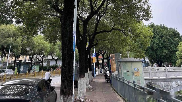 平地一声巨响：越来越有一种感觉，  这个