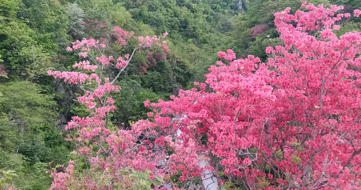 杜牧过南阳写了一首盛赞农村风光，民风淳朴的诗，如少女秀美清纯