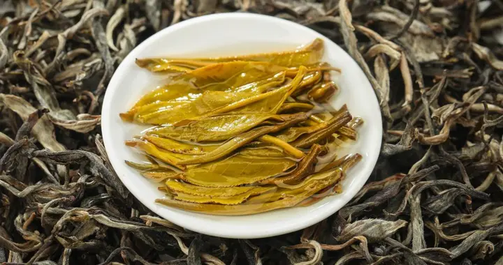 生普茶鉴别指南：5个特征让你一眼识别顶级好茶！