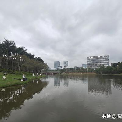 深惠双城的妞：深圳的公园确实不错。 就算