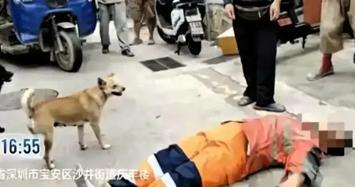 男子殴打女环卫工！和解遭拒！男子身份曝光！原因并非偶然！