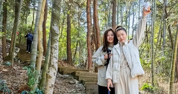 河南一小姐姐爬山遇到"还魂草"，带回家养成盆景居然这么美