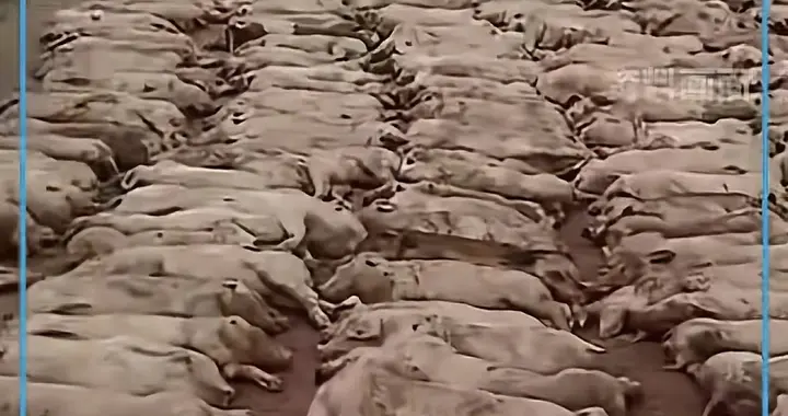 中断五年​多的中印客运直航，于2025年10月底​正式恢复