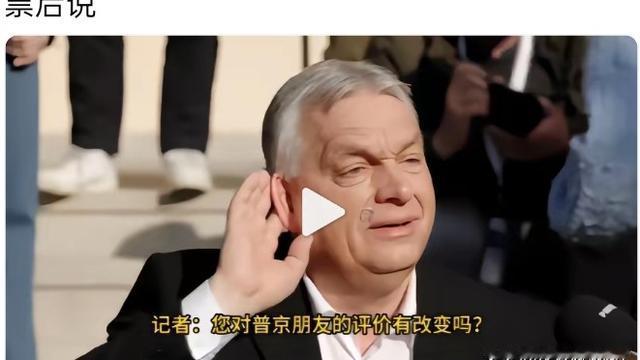 友爱海燕Rq：这是笑还是哭？ 这幅照片好