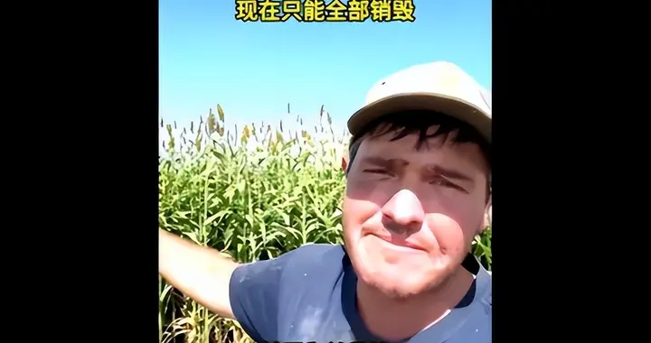 中国一单不买，美农产品只能烂在地里，美尝到反华苦果，后悔已晚