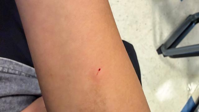 宋清辉：（1599）：弟