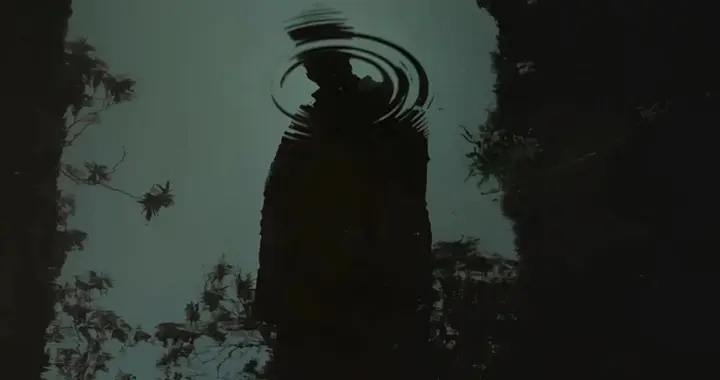 从光影中学习摄影审美