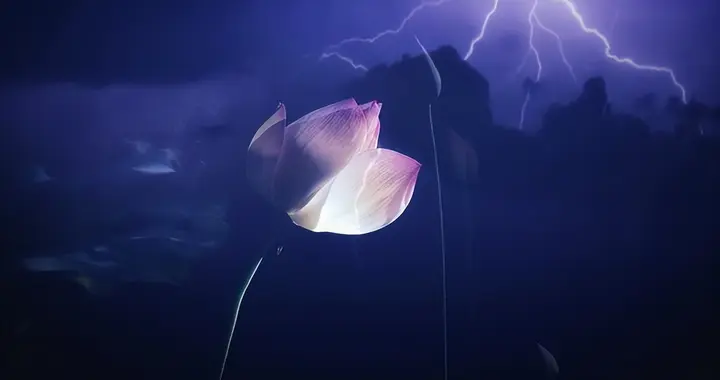 《随缘吟》：读懂了邵雍这首诗，人生从此就通达了！（看破红尘）