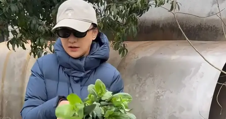 51岁周迅回老家衢州探亲，下乡摘农家蔬菜，个子不高但干活很麻利