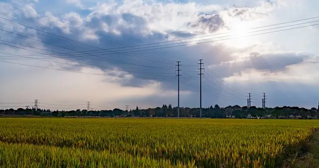 为什么越来越多人向往农村生活?