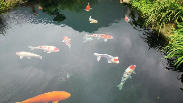 我自信步走天涯：040期双色球的一点思路