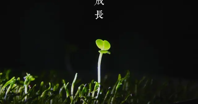 破局“毕业即失业”：用高考报考的“指南针”校准人生航向