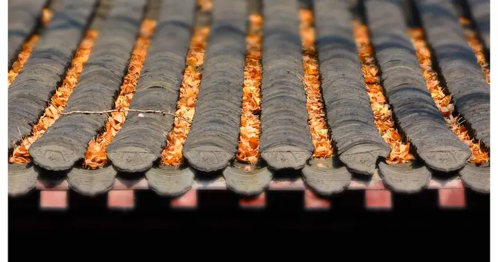 农村老话“水不走前门，财不离屋檐”，是啥意思，有科学道理吗？