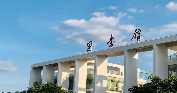 深圳31岁石头”这个具体案例的真实性及其所有细节