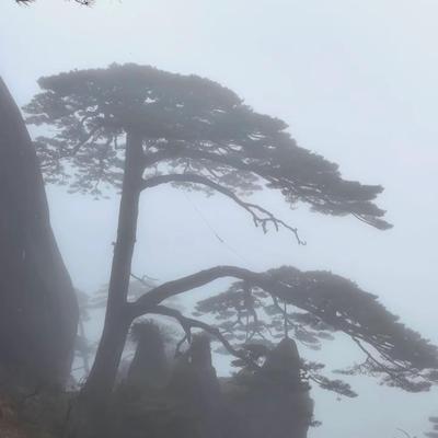 蒋志强413：小小黄山拿捏