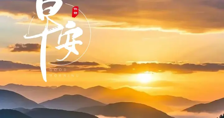 旧岁千般皆如愿，今年万事定称心，2026，带着这份热爱，一路向前