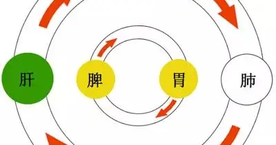 怎么判断是肝火还是胃火