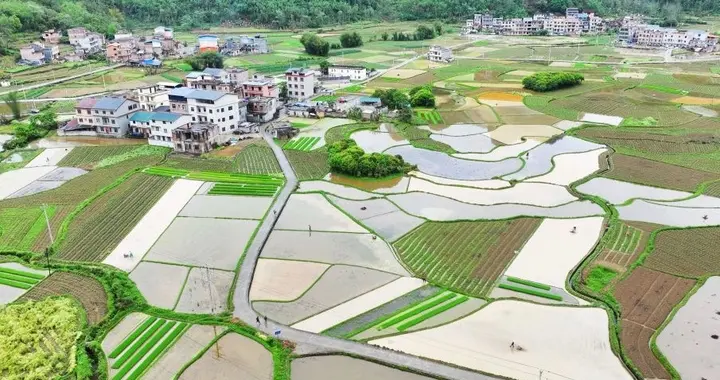 春耕引爆万亿赛道！2026年实体农业狂飙，稳赚不炒才是真风口