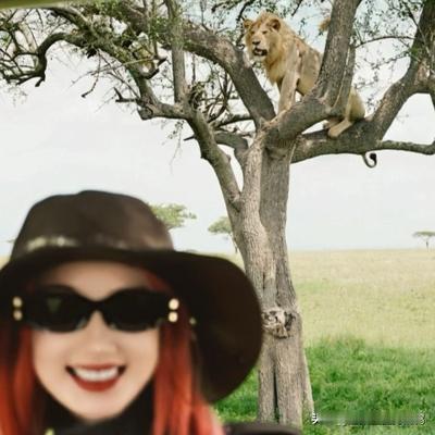 涅槃重生见墨鸦：毛晓彤晒非洲奇遇！亲眼撞