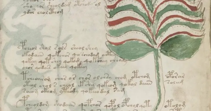 AI仅用1小时破译500年未解的“天书”，人类学者真要被淘汰？