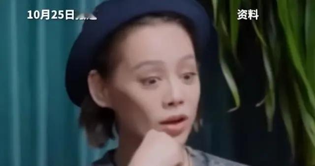 宁静做梦也没料到，美国前夫留给她的儿子，如今竟成她唯一的依靠