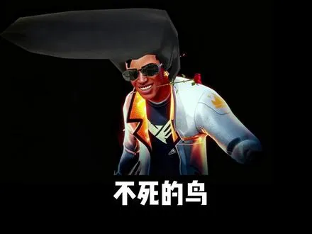 他们都叫我不死鸟