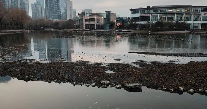 各科老师当校长的特点