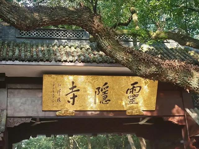 被前男友背叛后选择原谅，却换来二次伤害…