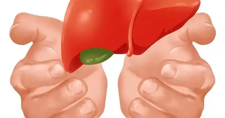 几乎所有医生都建议乙肝病人不要喝酒，一点都不能喝吗？真相来了