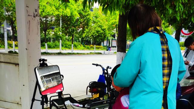 随手拍汉中：路边的5元理发摊总是有顾客
