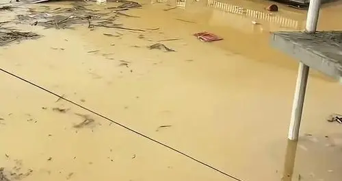 横州洪水冲毁养蛇场，眼镜蛇水律蛇大量外逃？当地紧急储备血清