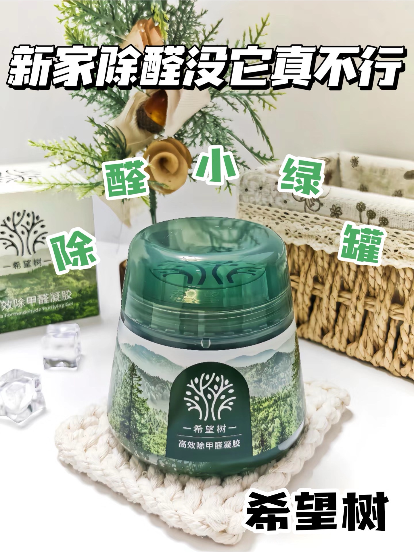 新家除醛没它不行！