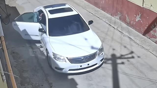 映衬社会的身影：最近很多人都在说宠物运输