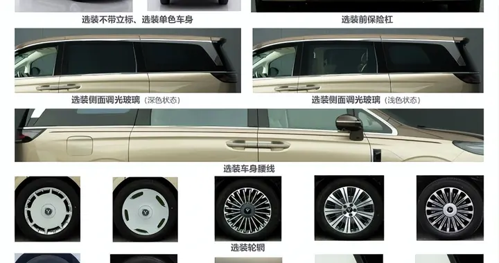 私人定制玩出新高！岚图梦想家9专属立标+定制金腰线+定制艺术字