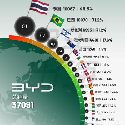 优质资产收藏家：比亚迪杀疯了！2024Q