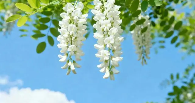 命里的钱，都有定数！会不会发财，就看这三处