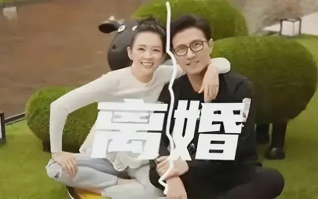 章子怡：我这辈子最正确的决定，就是和花心大萝卜汪峰离婚！