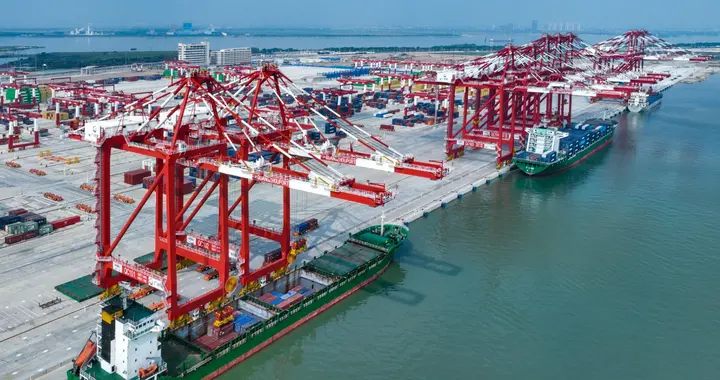 中方敲山震虎，荷兰尝到没收中企股份恶果，欧洲：理当对中国开放