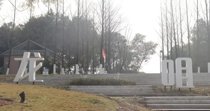 人少景美的Mini版“园博园”红梅怒放，重庆小众1h轻徒步吸氧宝地！