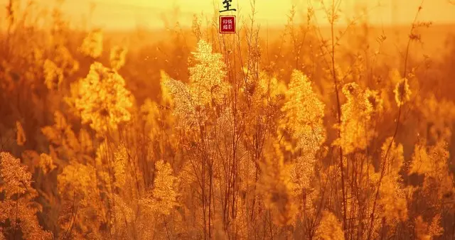 “最怕冬至是阴天”，今日冬至，阴天有啥讲究？看看农谚咋说