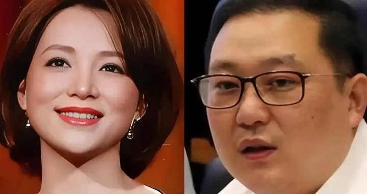 离婚传闻真相大白后，密春雷再迎“噩耗”，52岁董卿早已留好退路