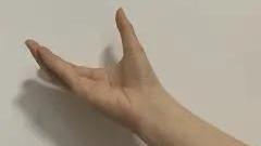 南方的海上繁花