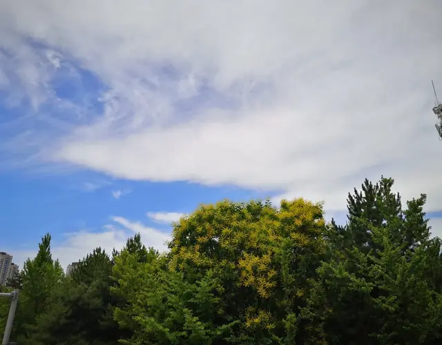 一个人瑜伽越练越好的5个迹象！中2条就很厉害！