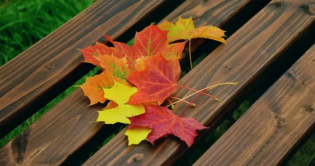 我是如何从亚马逊小白到官 方广告讲师的？