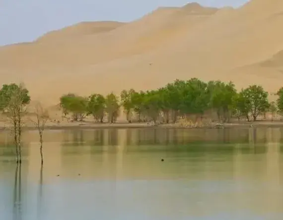 若羌罗布泊，尉犁罗布湖