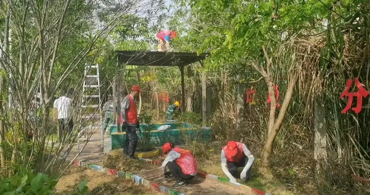 巧手扮靓家园 尽显志愿风采