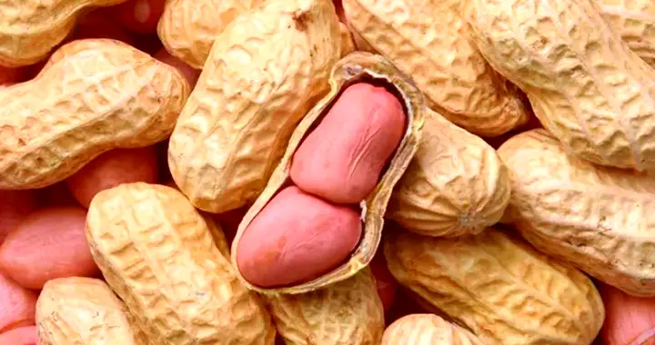花生对痛风影响如何？看看医生怎么说，痛风患者建议了解