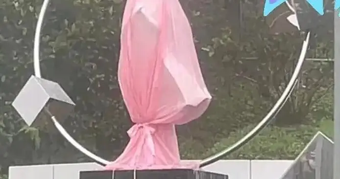 大s雕塑曝光，粉红色油布包裹像仙女，徐家以及亲友将会出席惦念